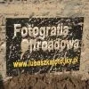 Lubaszkafoto - Fotografia Offroadowa i nie tylko